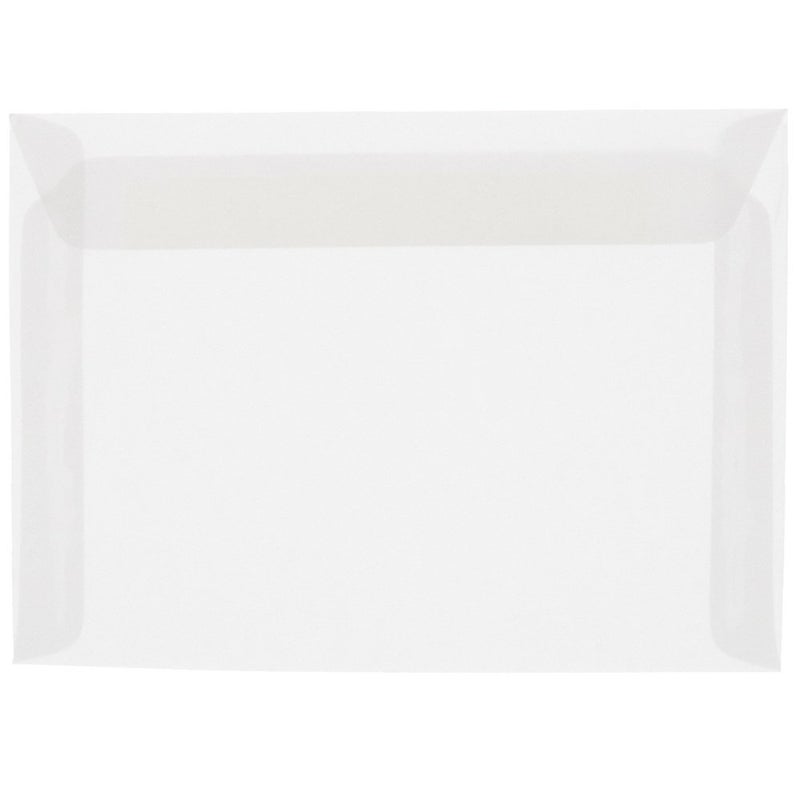 JAM Paper أظرف فلامينغو شفافة بحجم 9 x 12 بوصة - واضحة - 25/عبوة - Image 1